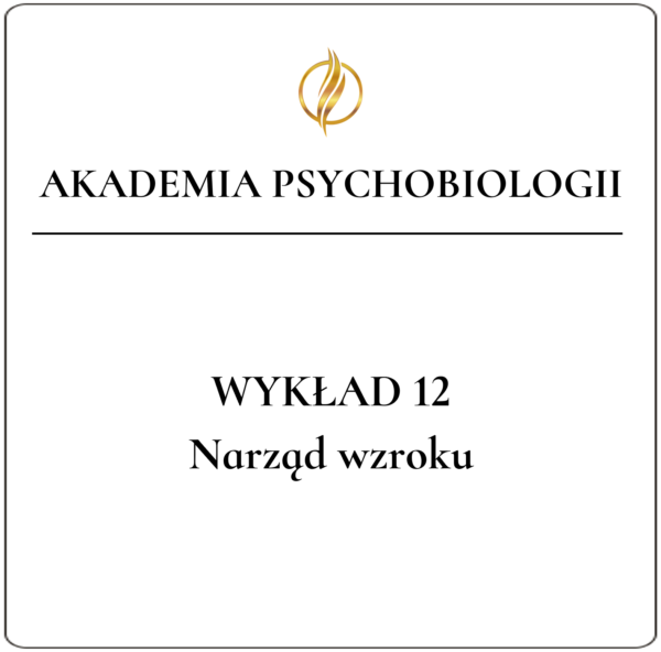 Wykład 12 <br>Narząd wzroku
