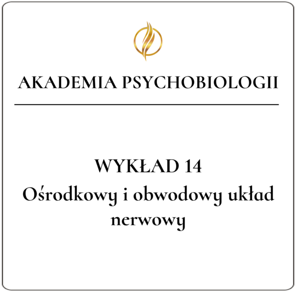 Wykład 14 <br>Ośrodkowy i obwodowy układ nerwowy